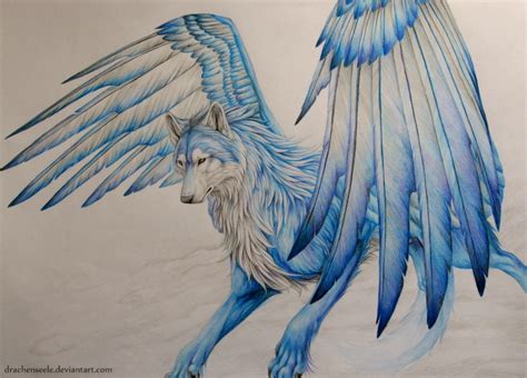 Wolf With Wings By Drachenseele On Deviantart