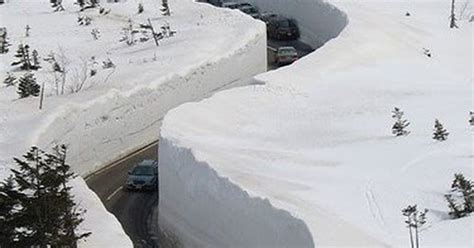 Tywkiwdbi Tai Wiki Widbee Deep Snow Really Deep Snow Now With Video