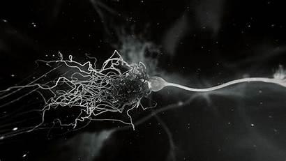 Synapse Animation Neurone Microscopic Network Brain Science