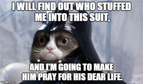Grumpy Cat Star Wars Meme Imgflip
