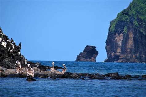 Playa Escondida Uno De Los Lugares Más Bonitos De Veracruz