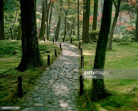 Kyoto Moss Garden Photos And Premium High Res Pictures Getty Images