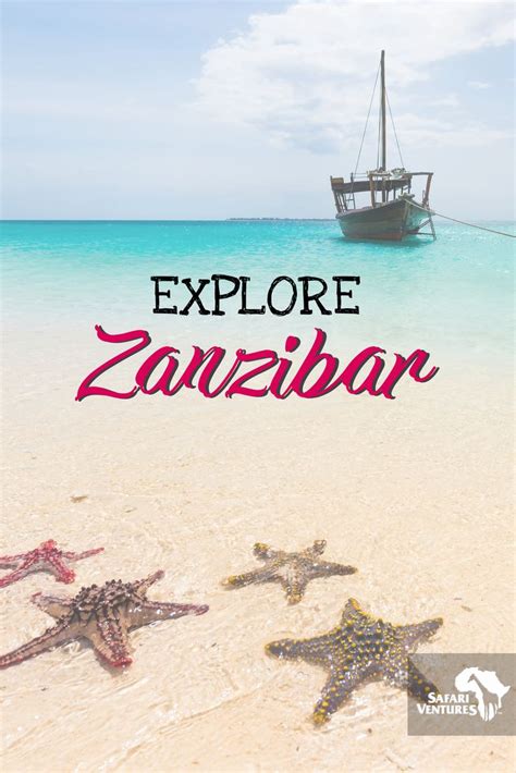 Zanzibar Everything To Know Artofit