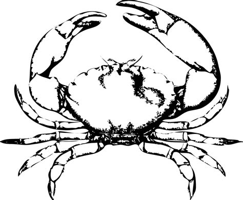 Crab Black And White Crab Clip Art Black And White Free Clipart Images