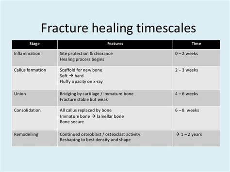 Fracture Healing Healing Process Radiography