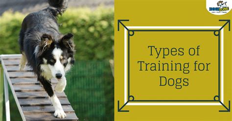Types Of Dog Training Dogizone