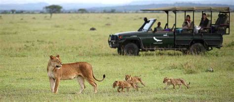 Serengeti National Park Conservation Tanzania Wildlife Safaris