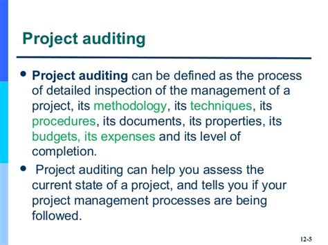 Project Audit
