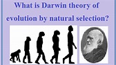 Charles Darwin: Theory of Evolution and Natural selection
