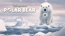 Polar Bear (2022) YIFY - Download Movies TORRENT - YTS