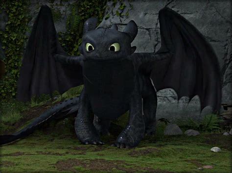 Toothless How To Train Your Dragon Wallpaper 32987235 Fanpop