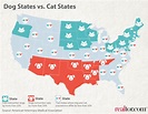 Do You Live in a Dog State or a Cat State? | Realtor.com®