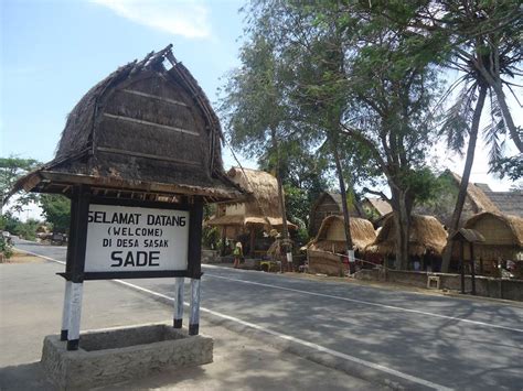 Pihaknya menjamin, hotel dan bungalow di kawasan ini menjadi tempat istirahat… Dusun Sade, Tempat Tinggal Suku Sasak Lombok | 1001malam