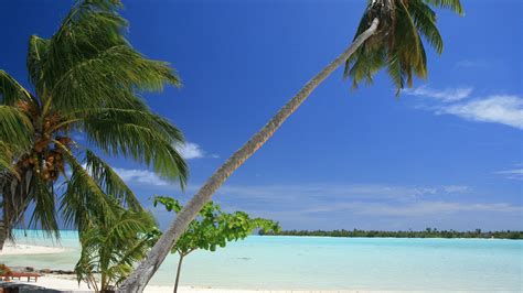 Wallpaper Maldives Palm Trees Beach Sea 3840x2160 Uhd 4k Picture Image