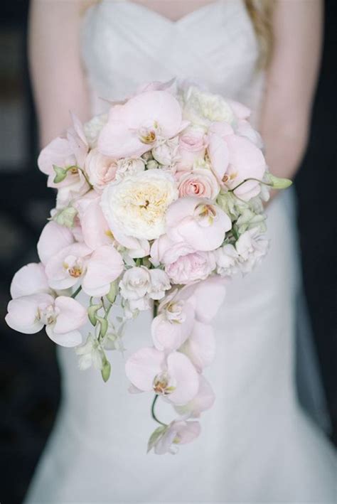 Fiorista lb fiori, non accetta più di due matrimonio per ogni data, quindi è necessario contattare tempestivamente fiorista lb fiori per ottenere la conferma del pacchetto. Bouquet sposa: sceglierlo in base al significato dei fiori