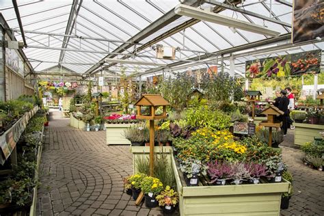 Owner Of Garden Centre Said Re Opening Was Emotional Dorset Online