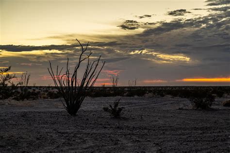 Dramatic Vibrant Sunset Scenery In Yuma Arizona Stock Photo Download