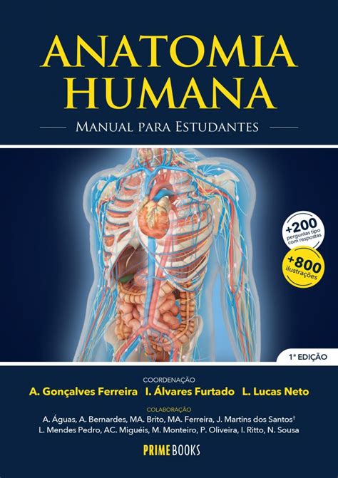 Anatomia Humana Manual Para Estudantes Aefful