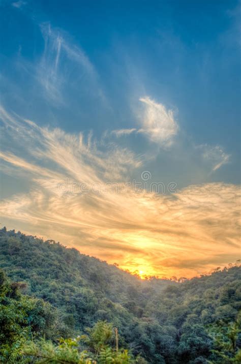 Mountain Forest Landscape Under Evening Sky With Clouds In Sunlight