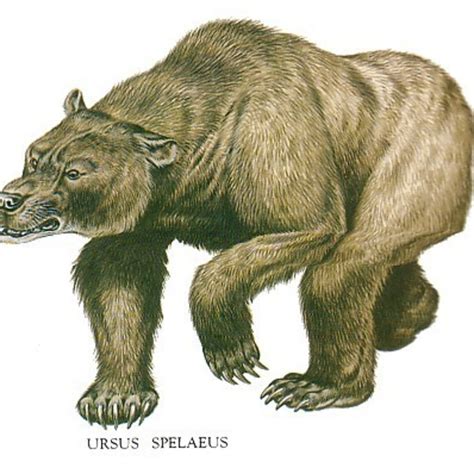Cave Bear Prehistoric Online