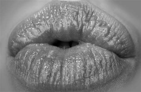 macro lips close up woman mouth isolated on white woman lips extreme close up mouth macro