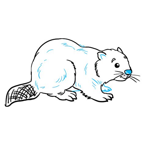 How To Draw A Beaver Really Easy Drawing Tutorial