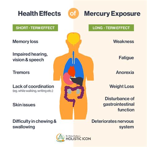 Effect Of Mercury Exposure On Your Health Holistic Icon Functional