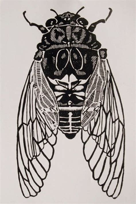 Cicada Print Wood Linocut Prints Art Collectibles Lifepharmafze Com