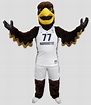 Golden Eagle - Marquette University - Olympus Mascots