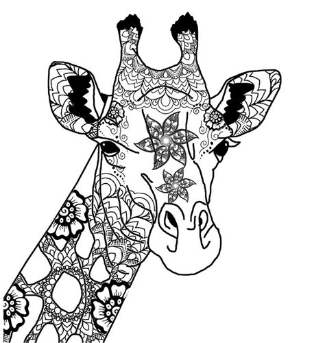 Giraffe Mandala Bw By Hillaryschier Redbubble