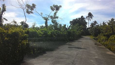 Sqm Titled Farm Lot In Silang Cavite Near Nuvali And Tagaytay City My