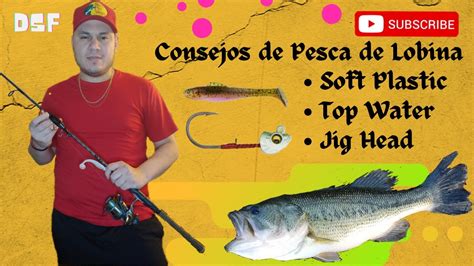 Consejos De Pesca De Lobina Youtube