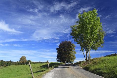 Road In A Meadow Stock Image Image Of Horizon Bush 16472069