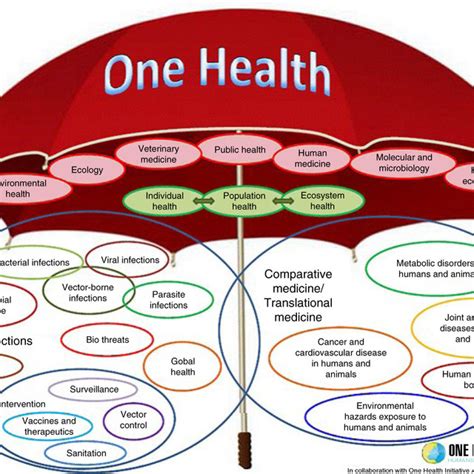 (PDF) One Health: people, animals, and the environment