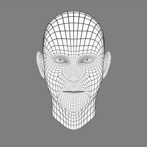 Stylized Head Base Mesh 3d Modell 5 Obj Fbx Blend Free3d