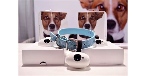 Pawcams Wearable Camera Best Pet Gadgets 2016 Popsugar Tech Photo 5