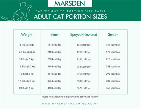 how much should i feed my cat marsden weighing
