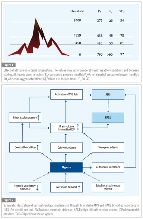 Acute High Altitude Illness Updated Principles Of Pathophysiology
