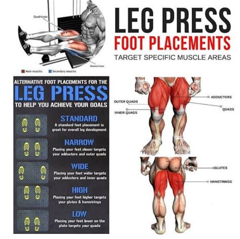 Leg Press Foot Placements Healthy Fitness Training Plan Tips In