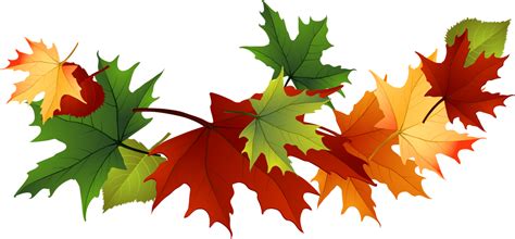 Fall Leaves Free Clip Art Transparent Background Fall Leaves Clip Art