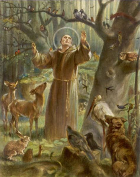 Saint Francis Of Assisi The Patron Saint Of Environment St Joseph Statue