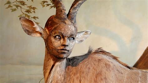 Human Looking Faces On Animal Bodies Taxidermy As Art Art Youtube