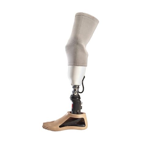 Below Knee Artificial Leg At Rs 16000pieces Artificial Limbs In