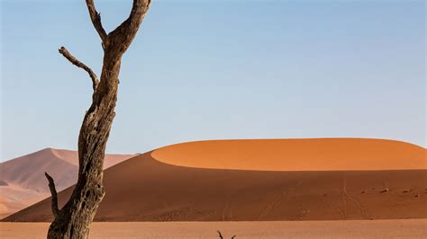 2560x1440 Desert Sand Dune Dunes 5k 1440p Resolution Hd 4k Wallpapers