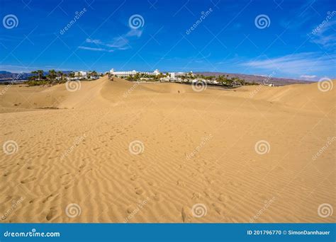 Sand Dunes In Gran Canaria With Beautiful Coast And Beach At Maspalomas