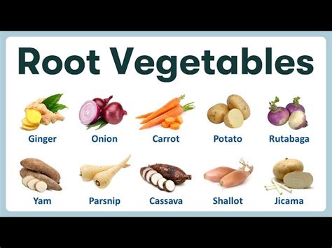 Root Vegetables List