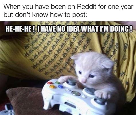 23 Sad Gaming Cat Meme Template