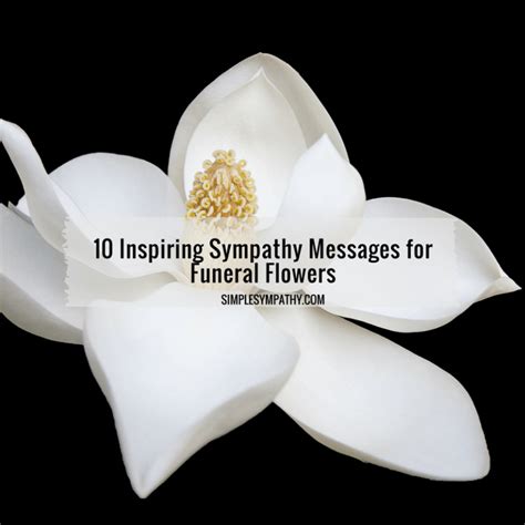 10 Inspiring Sympathy Messages For Funeral Flowers Simple Sympathy