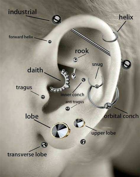 Pin By Mariametr On Deaf Ear Piercing Diagram Ear Piercings Cool