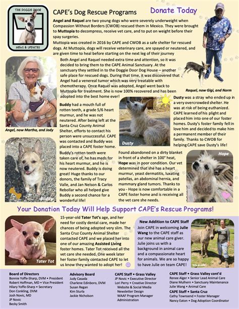 Newsletters Center For Animal Protection And Education